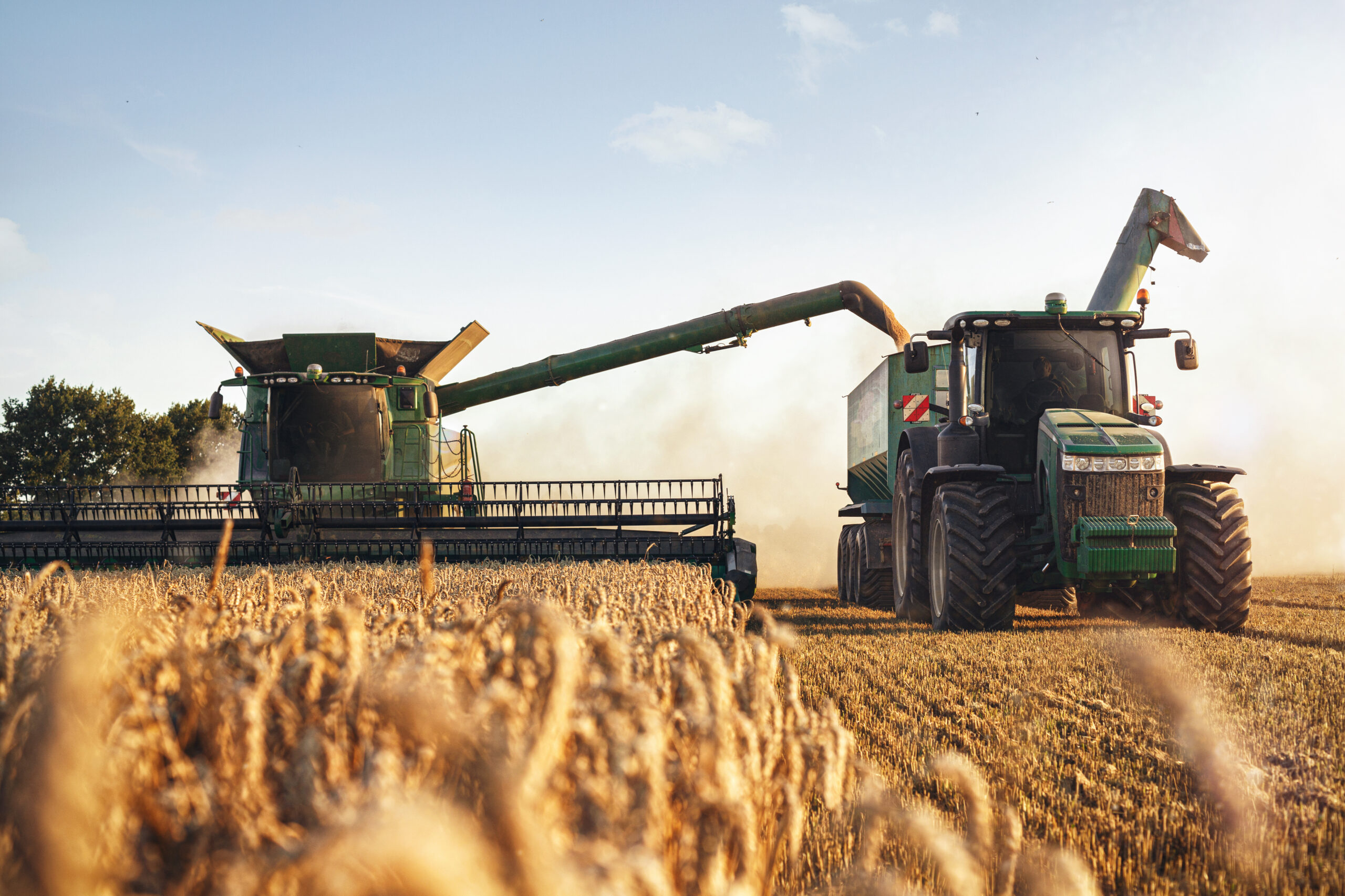 Farming Grain