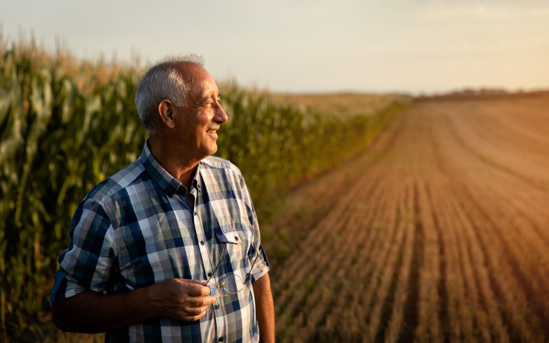Retirement Planning Options for Farmers