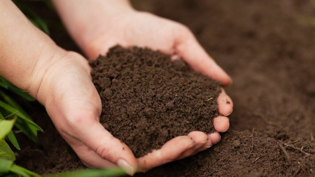Excess Soil Fertility Studies: How Farmers Can Benefit from Tax Deductions